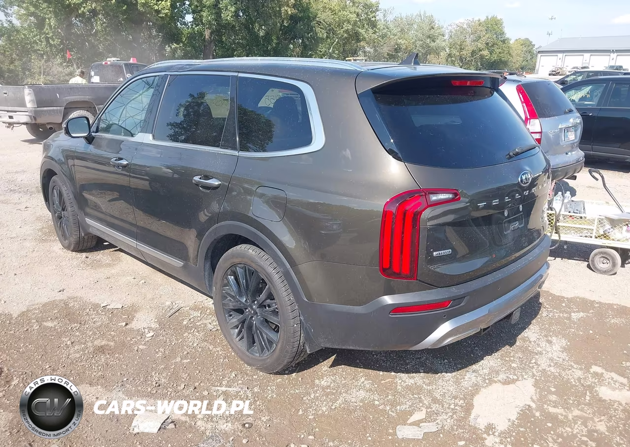 2020 Kia Telluride Sx VIN:5XYP5DHC2LG087551 - 3
