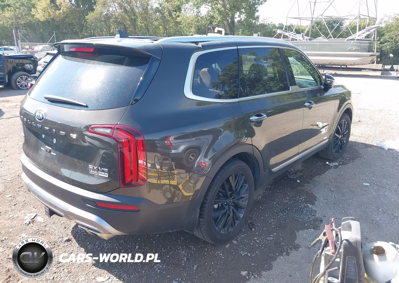 2020 Kia Telluride Sx VIN:5XYP5DHC2LG087551 - 4