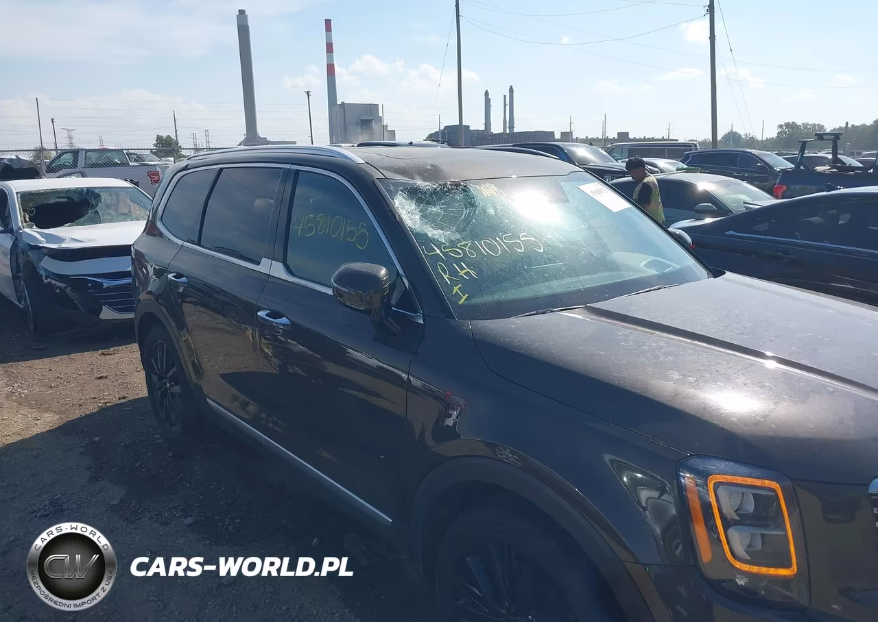 2020 Kia Telluride Sx VIN:5XYP5DHC2LG087551 - 6
