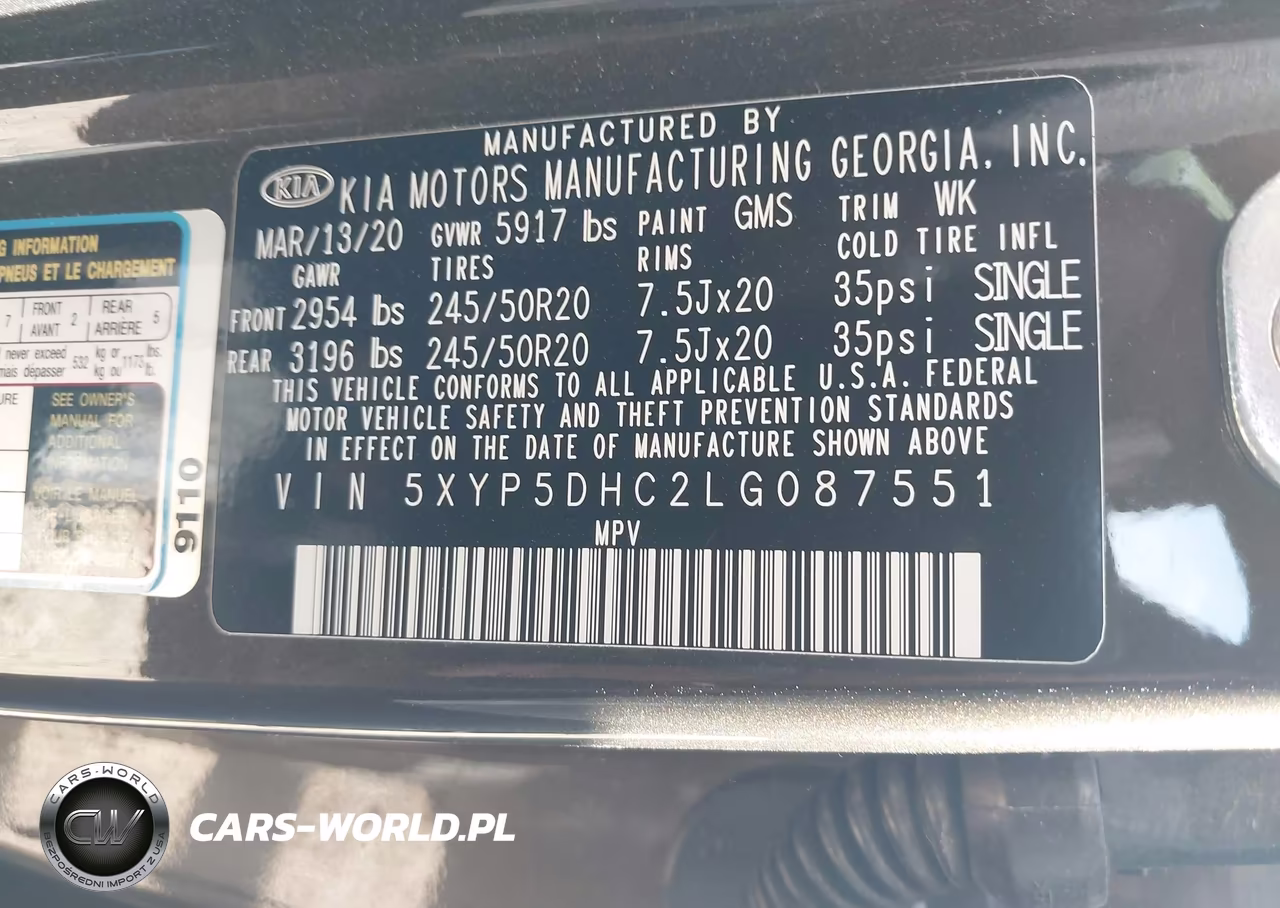 2020 Kia Telluride Sx VIN:5XYP5DHC2LG087551 - 9