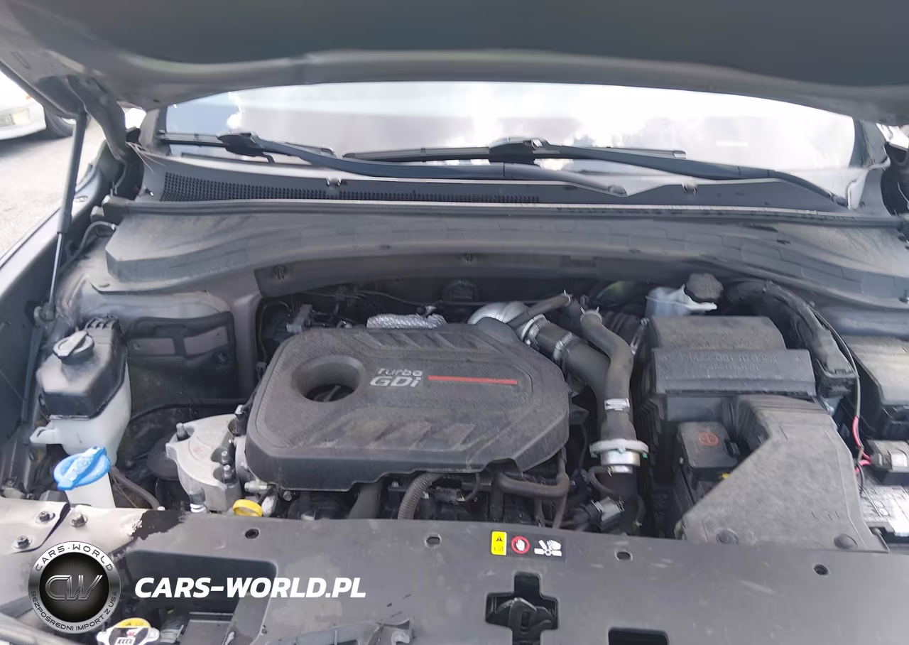 2020 Hyundai Santa Fe Sel 2.0T VIN:5NMS33AA6LH164978 - 10