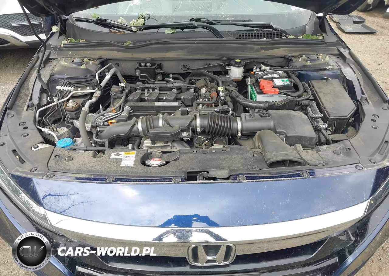 2019 Honda Accord Ex-L VIN:1HGCV1F5XKA078145 - 10
