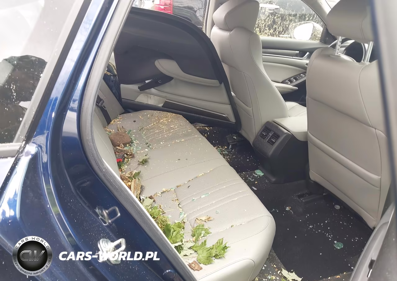 2019 Honda Accord Ex-L VIN:1HGCV1F5XKA078145 - 8