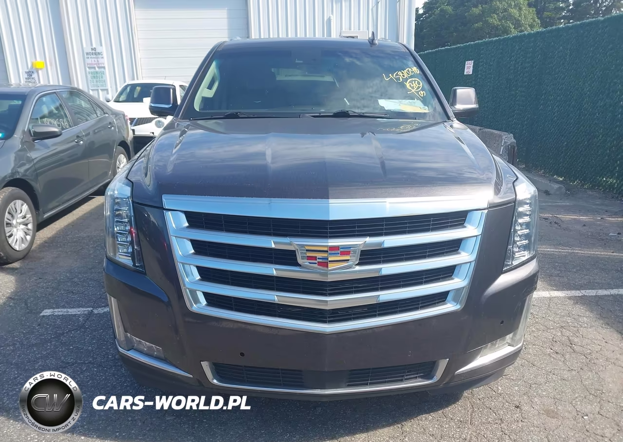 2015 Cadillac Escalade Premium VIN:1GYS4NKJ8FR562629 - 12
