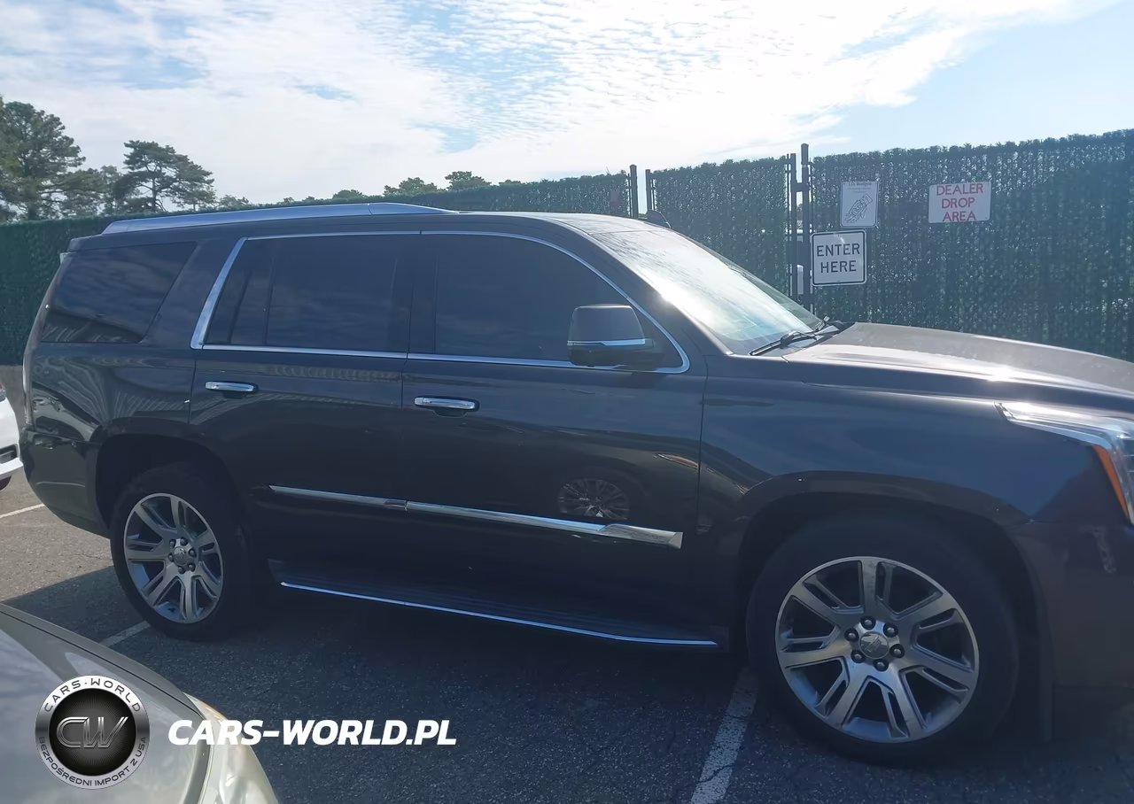 2015 Cadillac Escalade Premium VIN:1GYS4NKJ8FR562629 - 13
