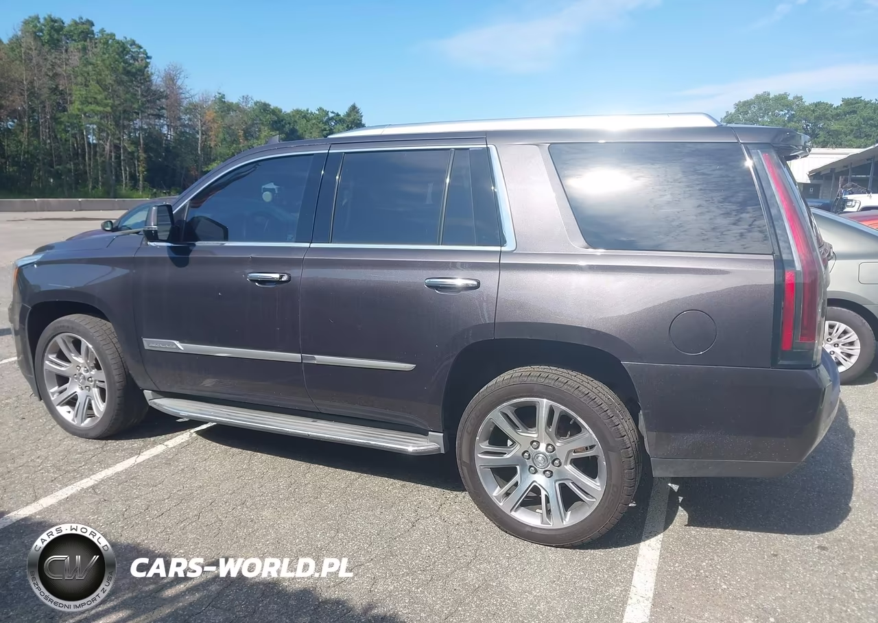 2015 Cadillac Escalade Premium VIN:1GYS4NKJ8FR562629 - 14