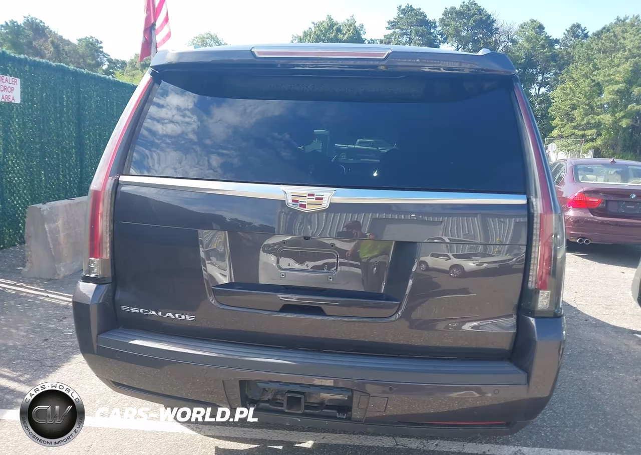 2015 Cadillac Escalade Premium VIN:1GYS4NKJ8FR562629 - 16