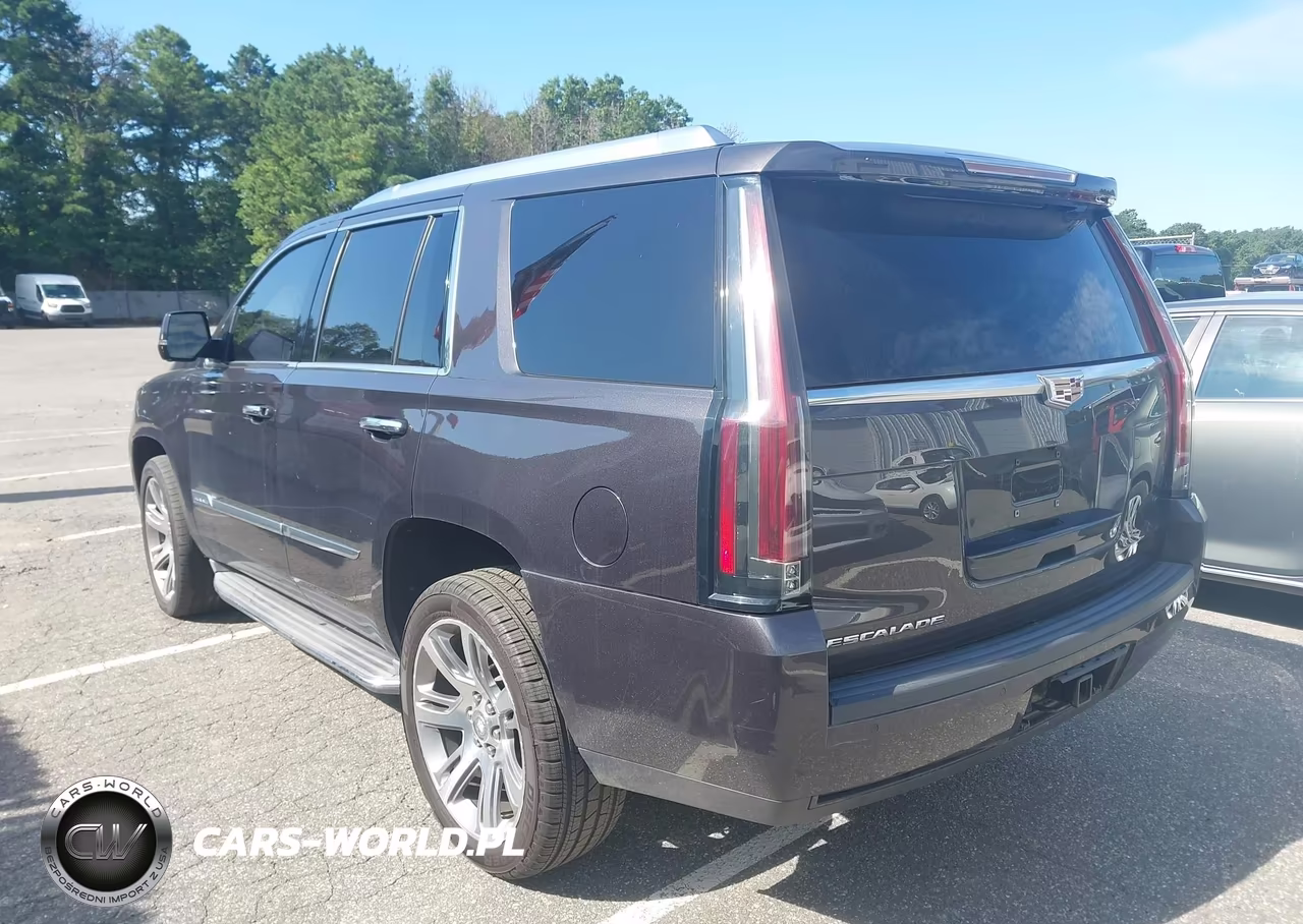 2015 Cadillac Escalade Premium VIN:1GYS4NKJ8FR562629 - 3