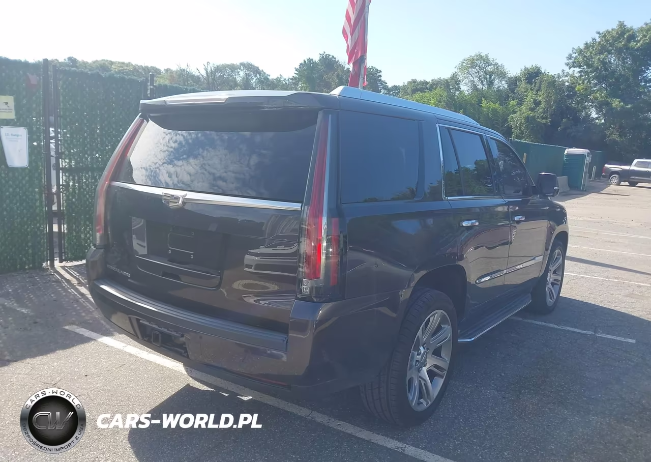 2015 Cadillac Escalade Premium VIN:1GYS4NKJ8FR562629 - 4