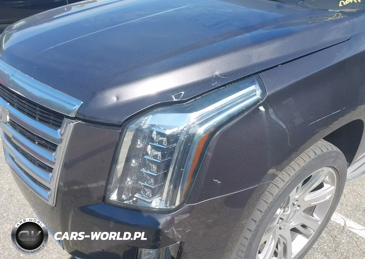 2015 Cadillac Escalade Premium VIN:1GYS4NKJ8FR562629 - 6