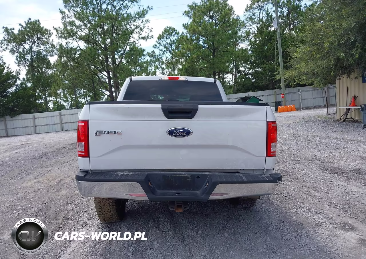 2016 Ford F-150 Xlt VIN:1FTEW1EG0GKD46127 - 16