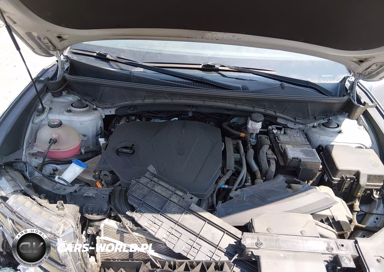 2024 Hyundai Tucson Limited VIN:5NMJECDE1RH356788 - 10