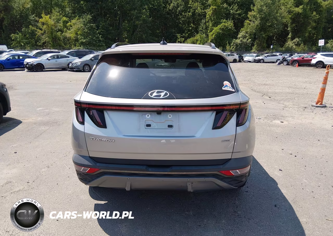 2024 Hyundai Tucson Limited VIN:5NMJECDE1RH356788 - 17