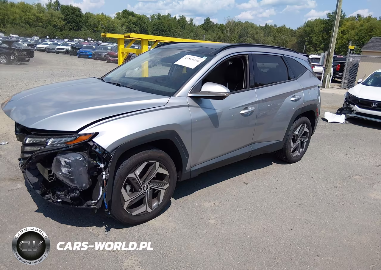 2024 Hyundai Tucson Limited VIN:5NMJECDE1RH356788 - 2