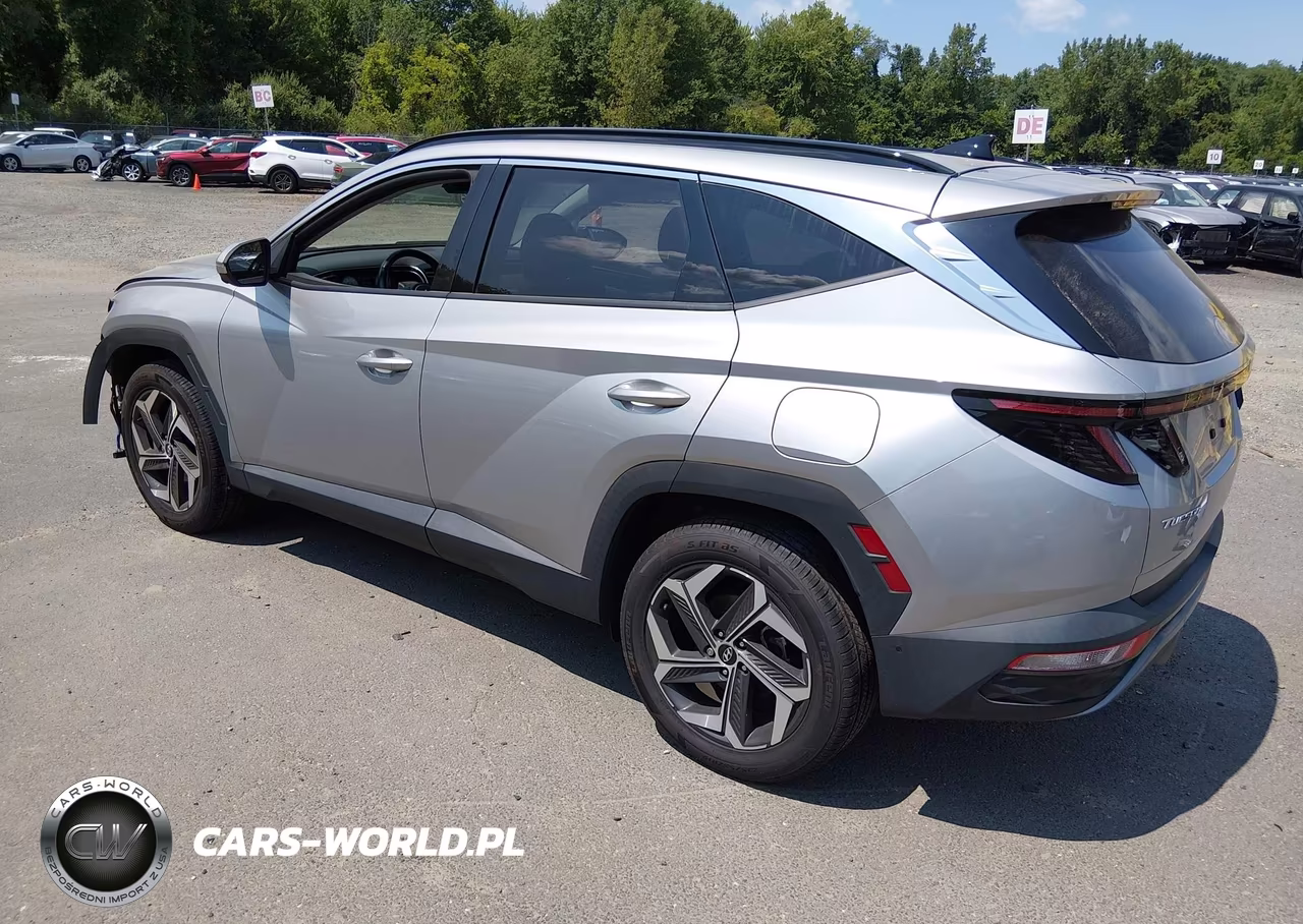 2024 Hyundai Tucson Limited VIN:5NMJECDE1RH356788 - 3