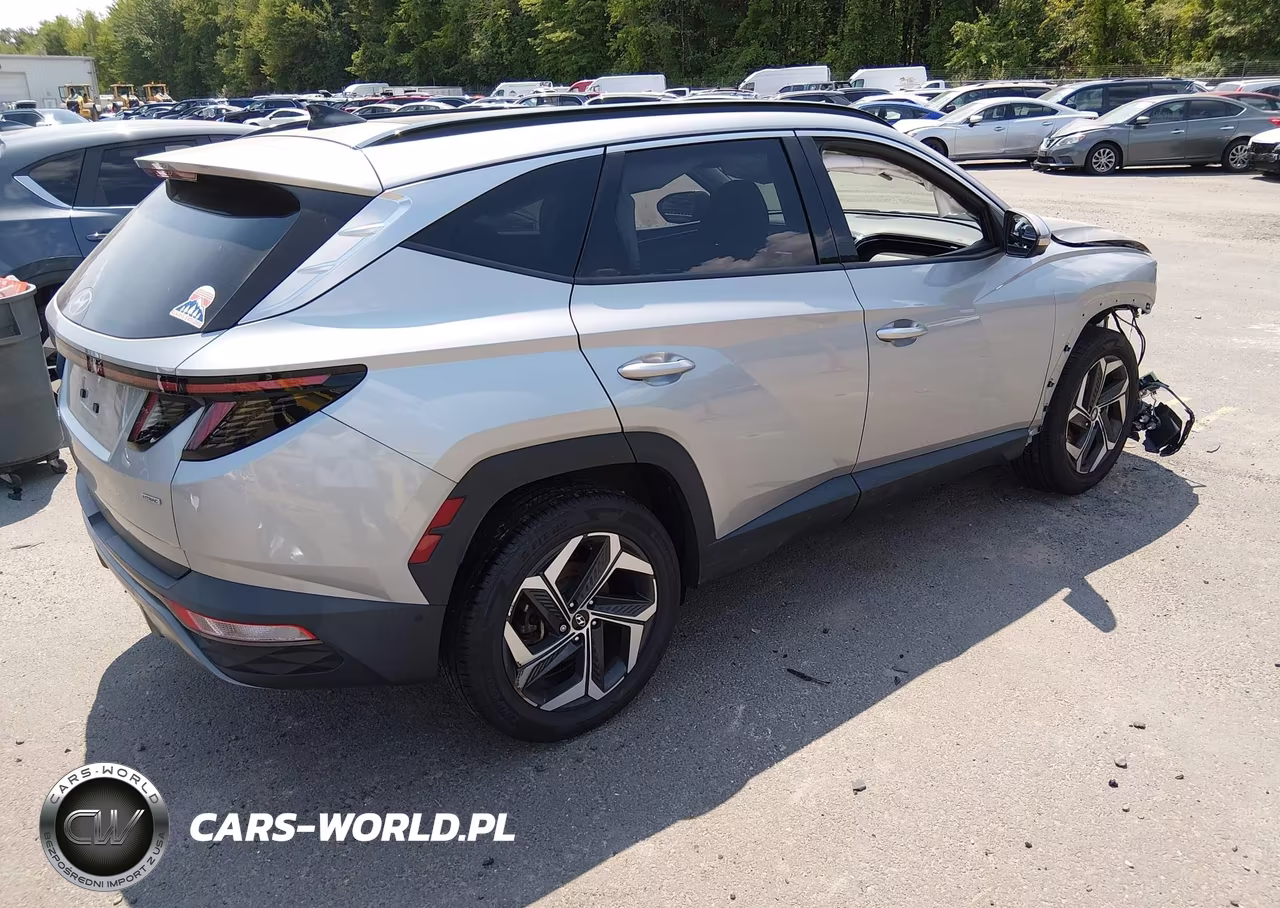 2024 Hyundai Tucson Limited VIN:5NMJECDE1RH356788 - 4