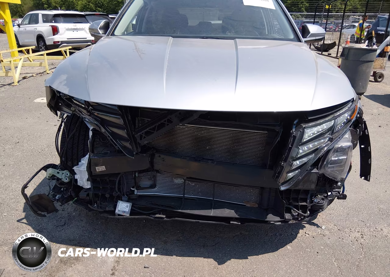 2024 Hyundai Tucson Limited VIN:5NMJECDE1RH356788 - 6
