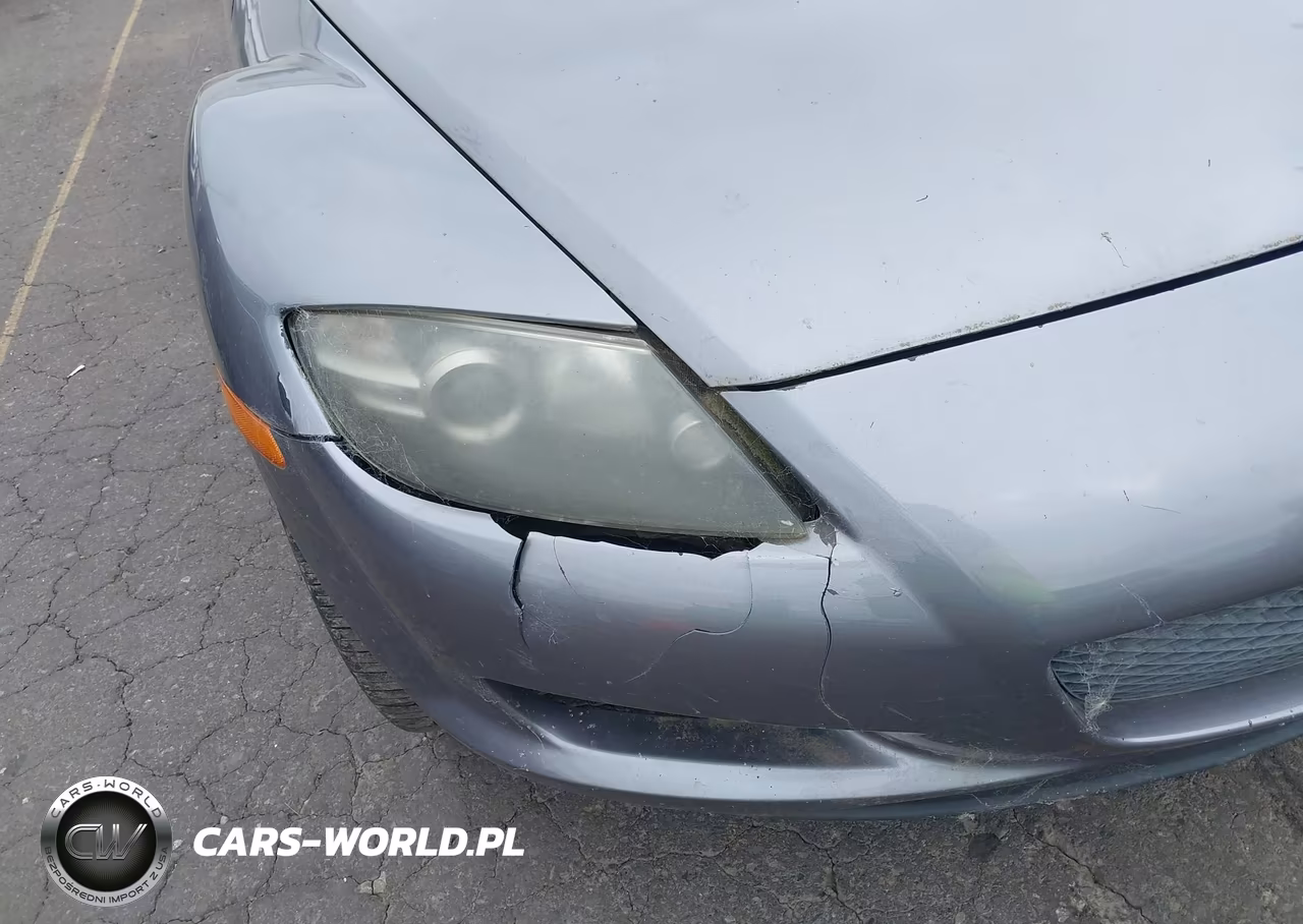 2004 Mazda Rx-8 Sport Automatic VIN:JM1FE17N840140693 - 6