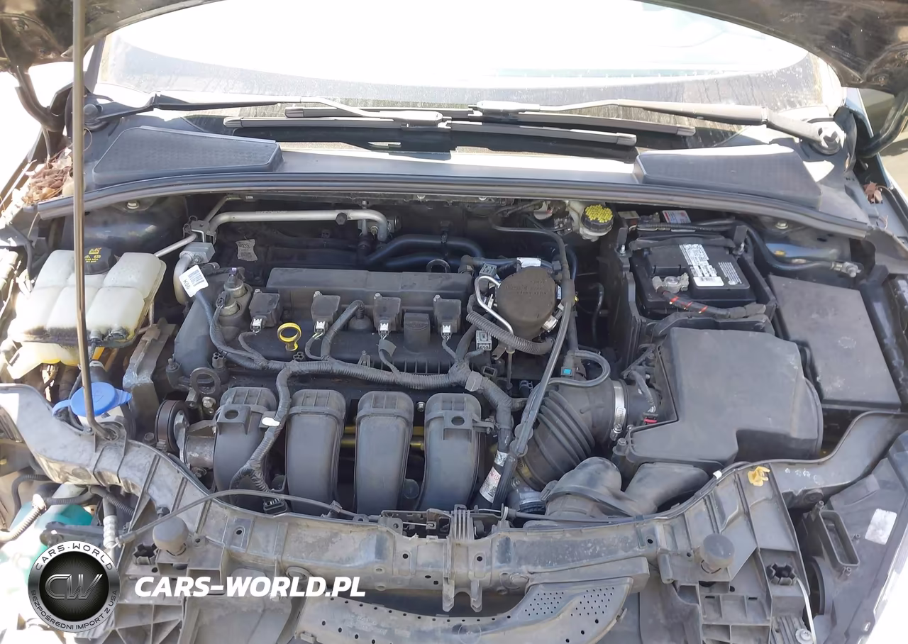 2015 Ford Focus Se VIN:1FADP3K20FL326987 - 10