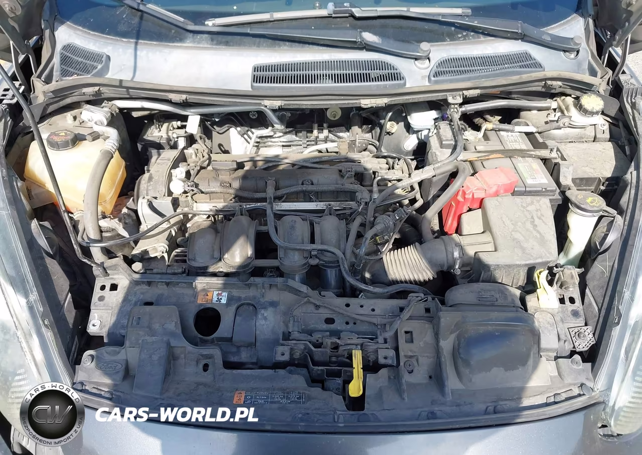 2015 Ford Fiesta Se VIN:3FADP4BJ8FM195822 - 10