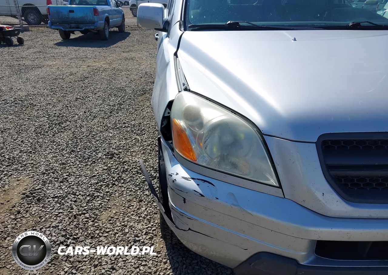 2004 Honda Pilot Ex-L VIN:2HKYF18744H543823 - 17