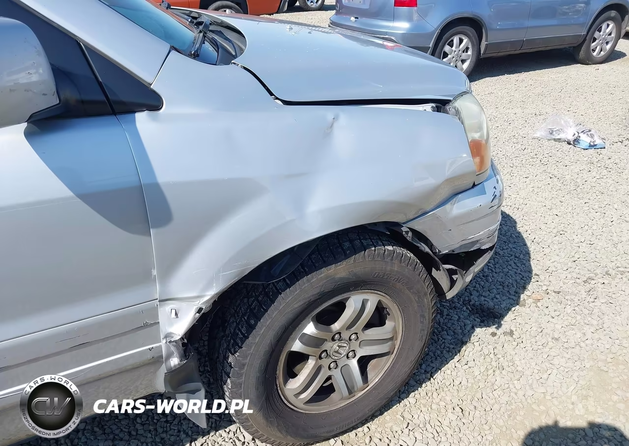 2004 Honda Pilot Ex-L VIN:2HKYF18744H543823 - 18