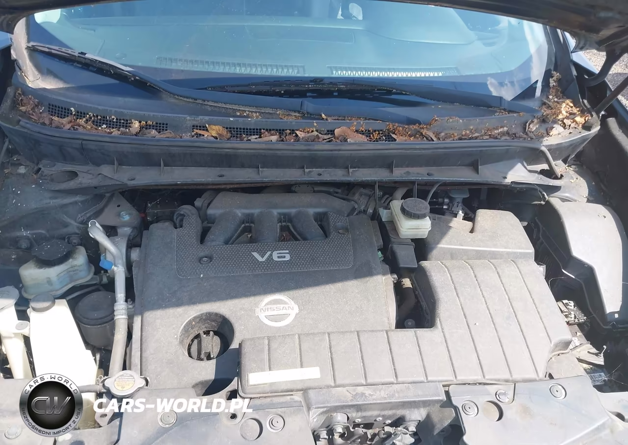 2012 Nissan Murano Le VIN:JN8AZ1MW8CW205862 - 10