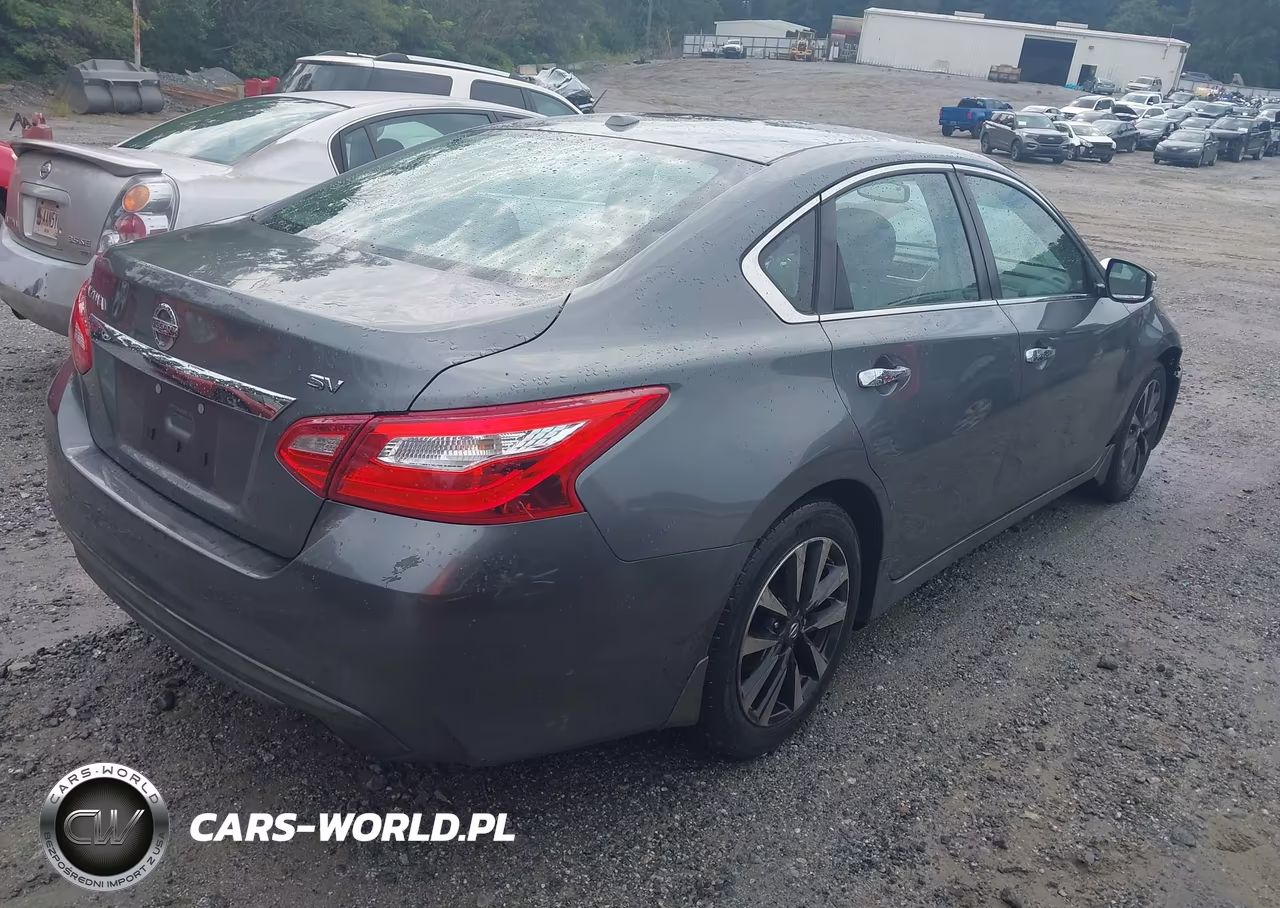 2016 Nissan Altima 2.5 Sv VIN:1N4AL3AP9GC169845 - 4