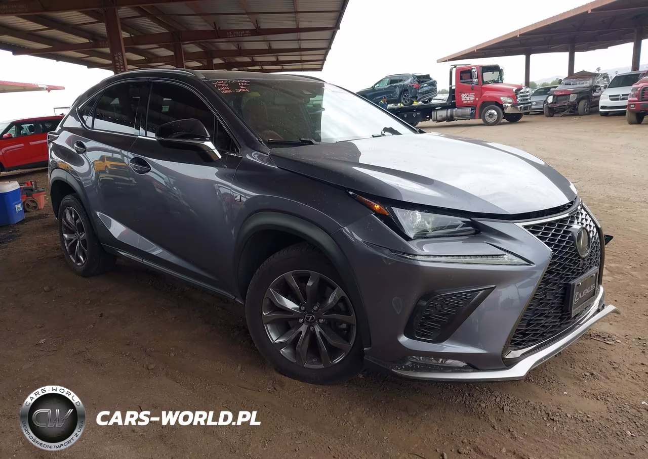 2018 Lexus Nx 300 F Sport VIN:JTJYARBZ2J2106114 - 1