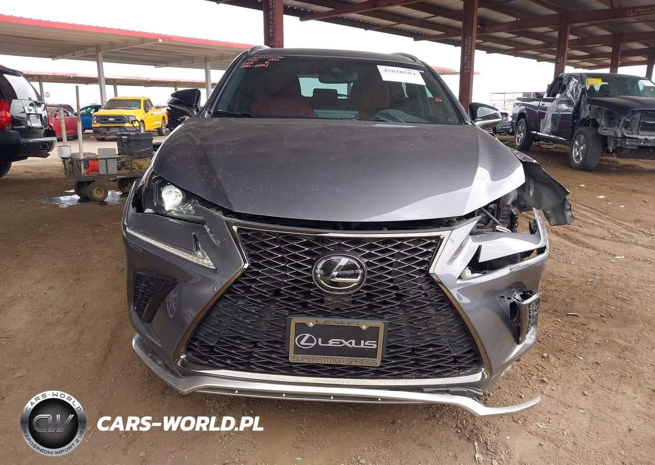 2018 Lexus Nx 300 F Sport VIN:JTJYARBZ2J2106114 - 12