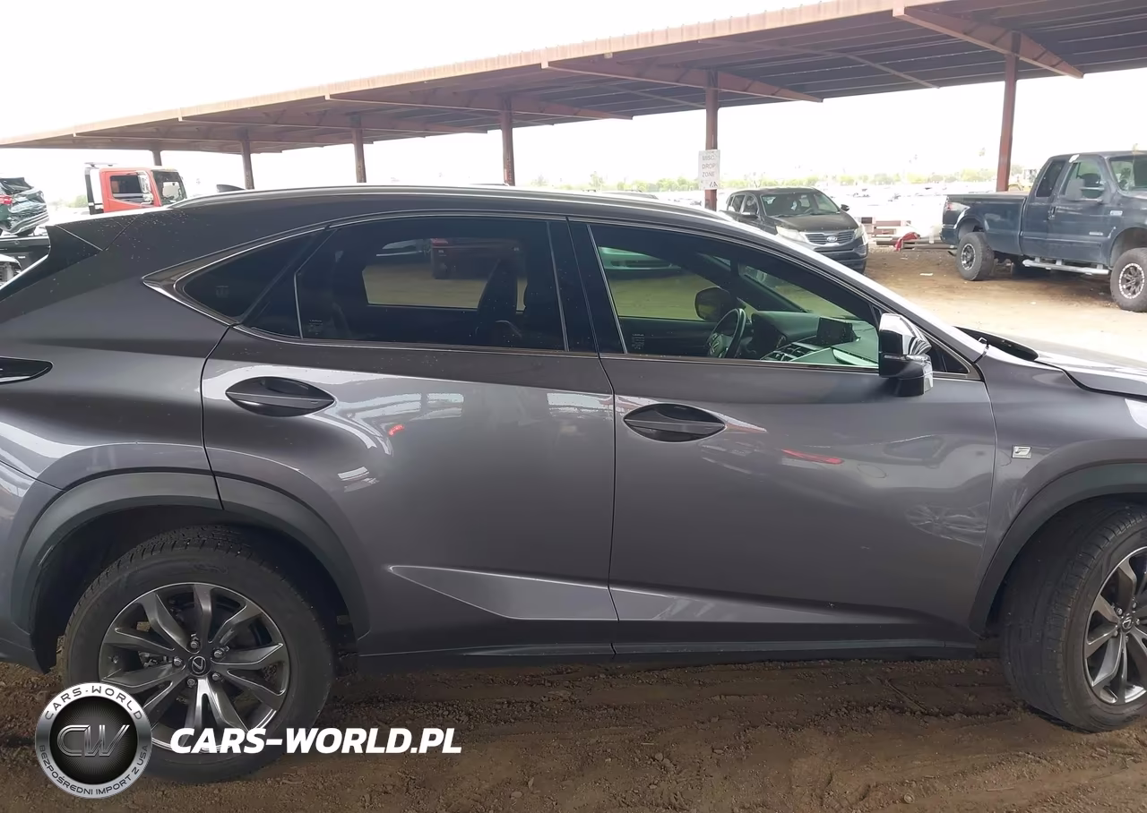 2018 Lexus Nx 300 F Sport VIN:JTJYARBZ2J2106114 - 13