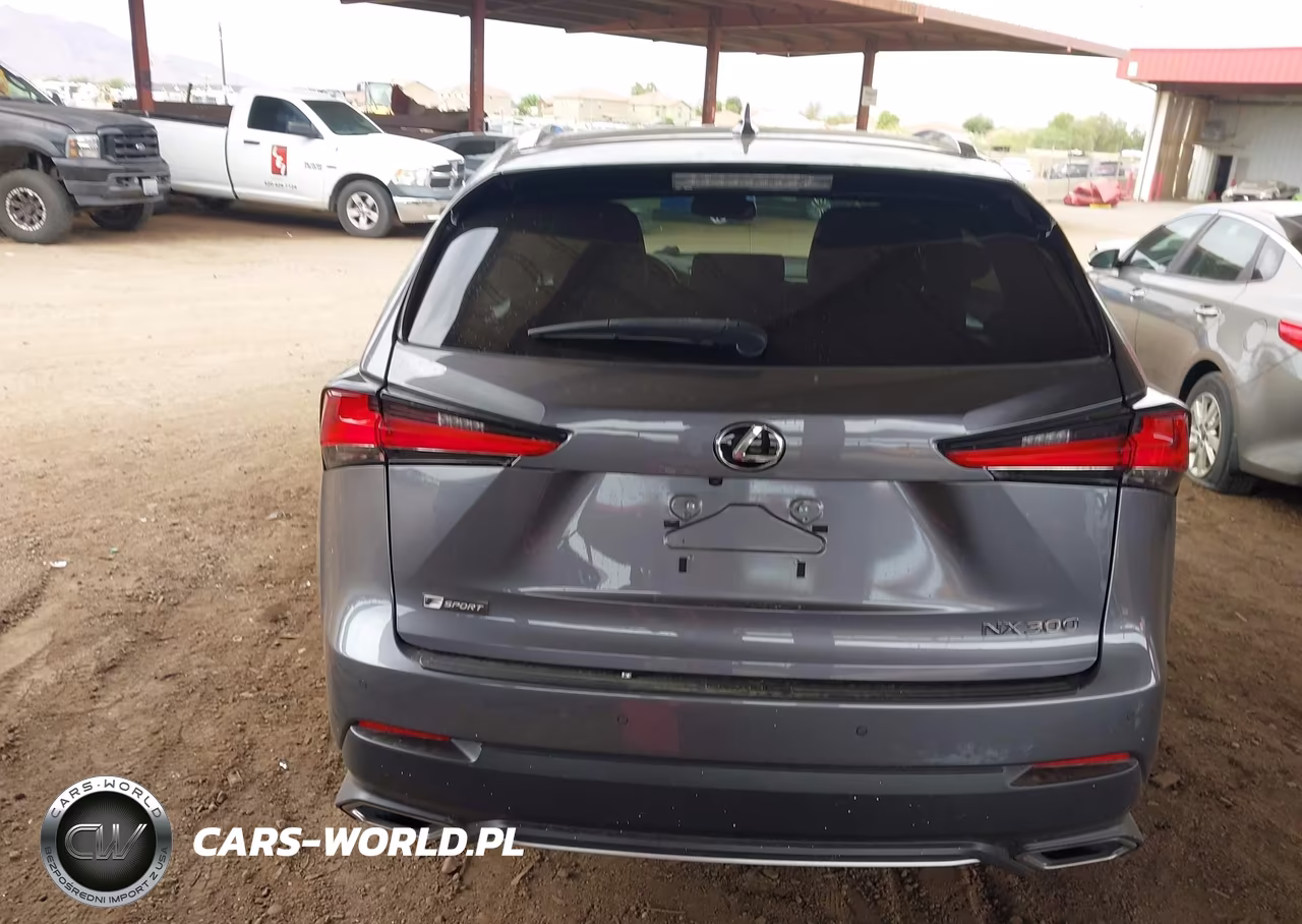 2018 Lexus Nx 300 F Sport VIN:JTJYARBZ2J2106114 - 16