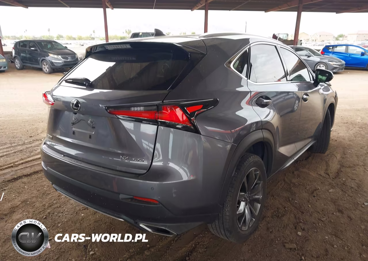 2018 Lexus Nx 300 F Sport VIN:JTJYARBZ2J2106114 - 4