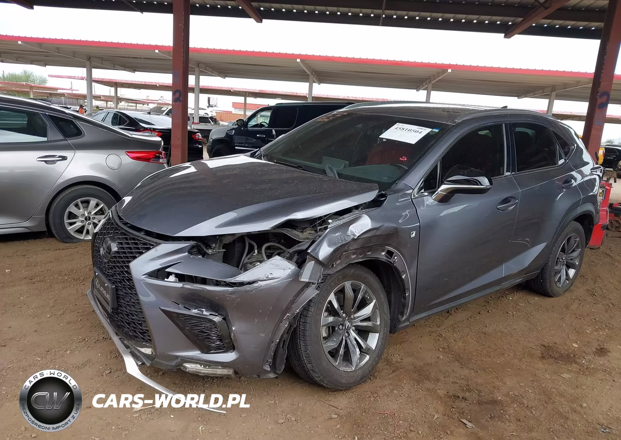 2018 Lexus Nx 300 F Sport VIN:JTJYARBZ2J2106114 - 6