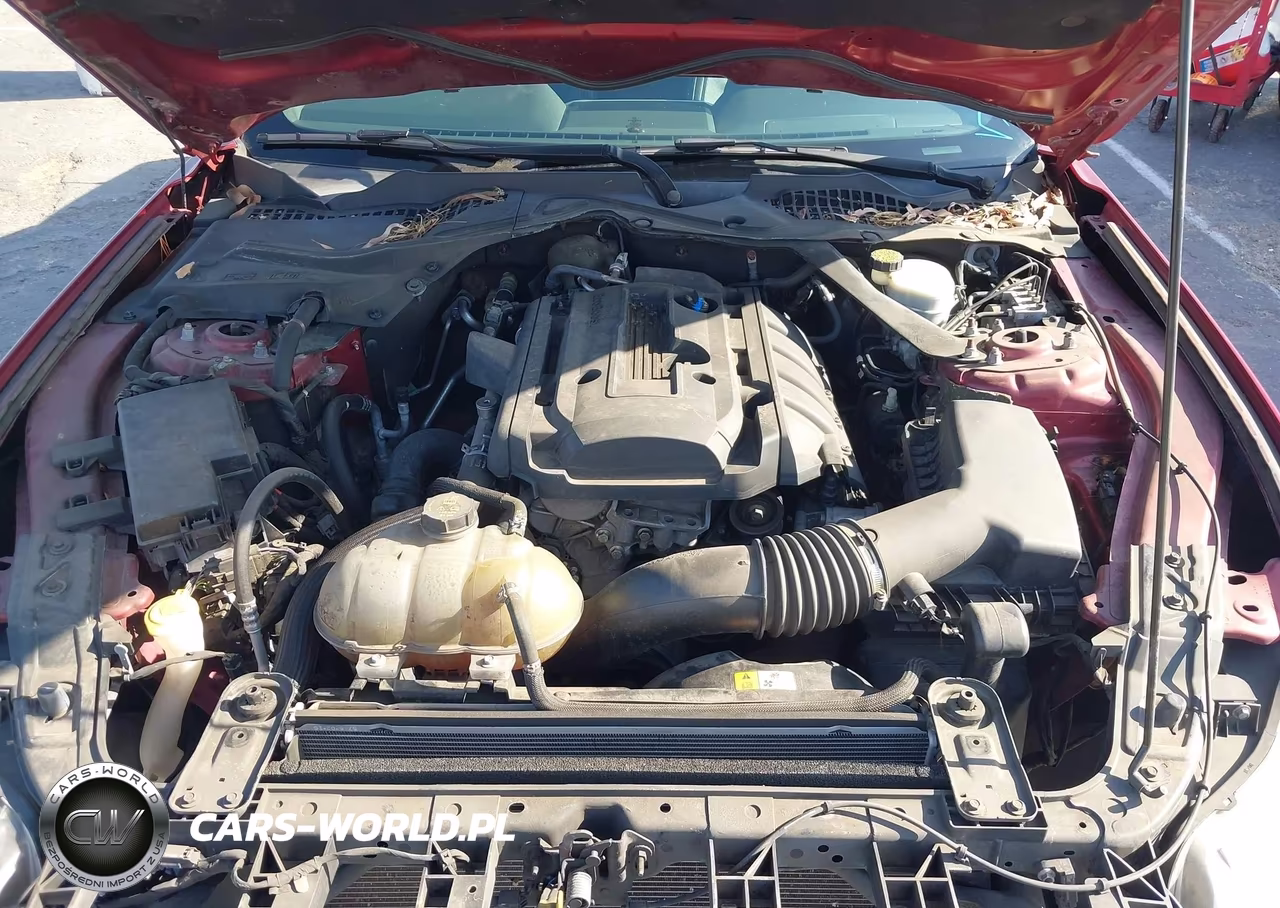 2016 Ford Mustang Ecoboost Premium VIN:1FATP8UH5G5328220 - 10