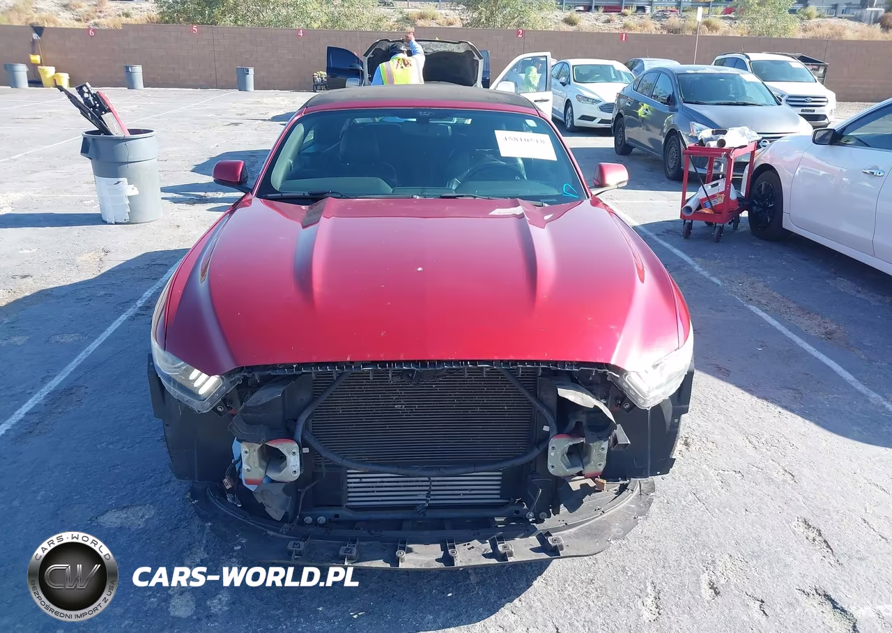 2016 Ford Mustang Ecoboost Premium VIN:1FATP8UH5G5328220 - 13