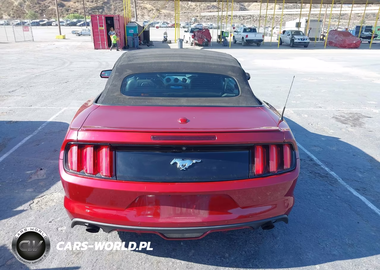 2016 Ford Mustang Ecoboost Premium VIN:1FATP8UH5G5328220 - 17