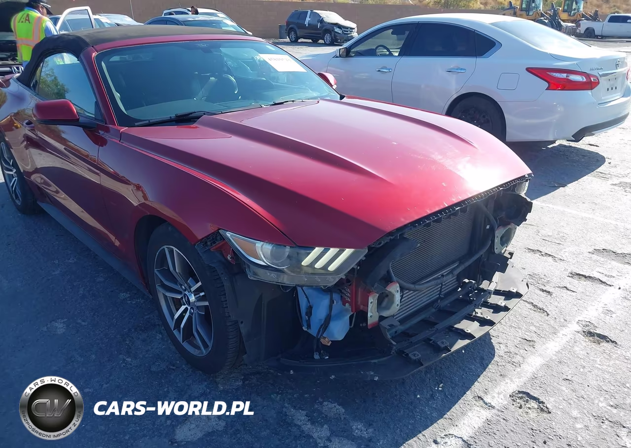 2016 Ford Mustang Ecoboost Premium VIN:1FATP8UH5G5328220 - 19