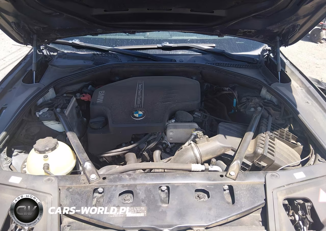 2014 BMW 528I VIN:WBA5A5C53ED509441 - 10