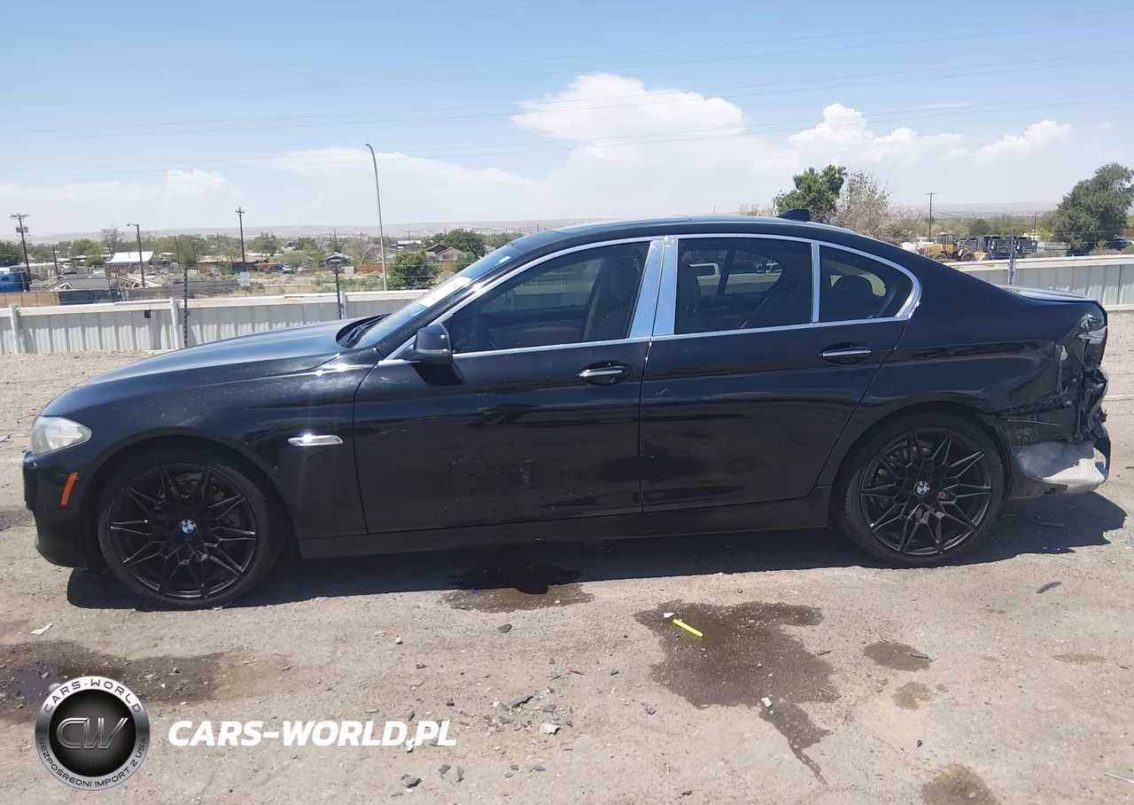 2014 BMW 528I VIN:WBA5A5C53ED509441 - 14