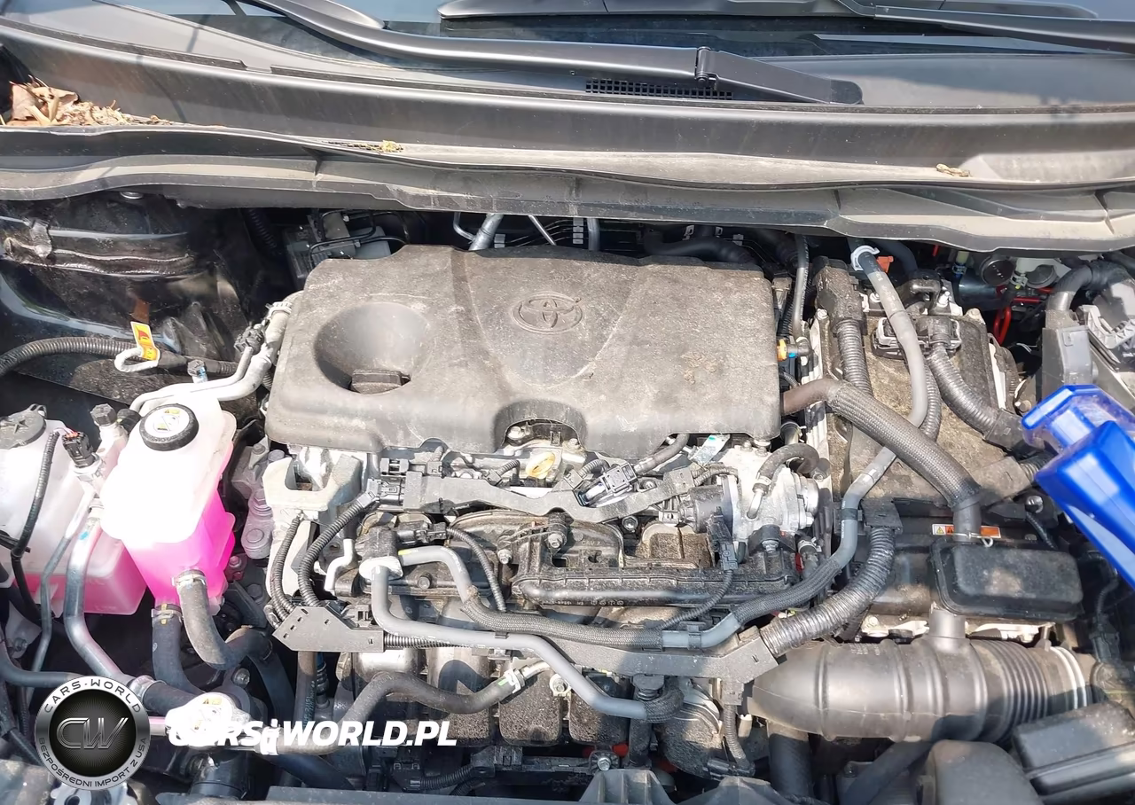 2025 Toyota Sienna Xle VIN:5TDJRKECXSS268823 - 10