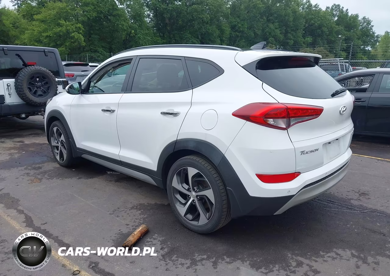 2017 Hyundai Tucson Limited VIN:KM8J3CA27HU276057 - 3