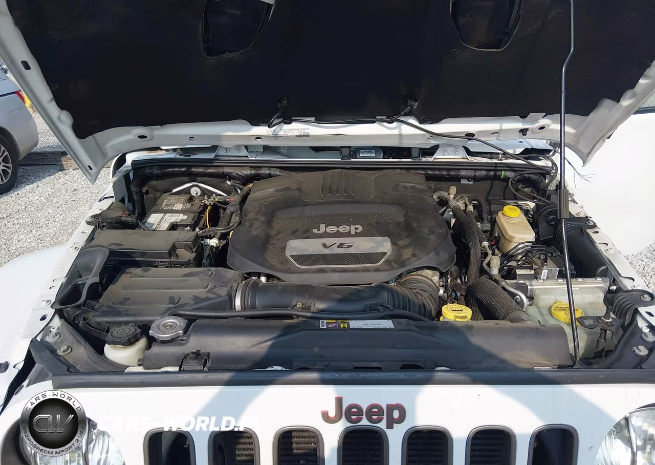 2016 Jeep Wrangler 75Th Anniversary VIN:1C4AJWBG8GL342481 - 10