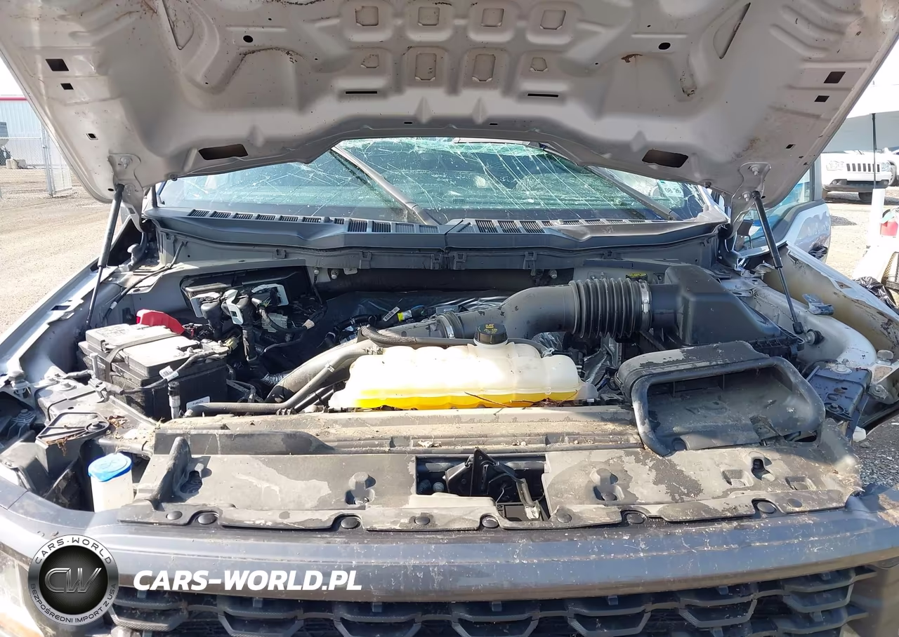 2024 Ford F-150 Stx VIN:1FTEW2KP1RKE70856 - 10