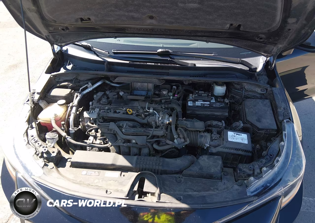 2019 Toyota Corolla Xse VIN:JTNK4RBE3K3030987 - 10