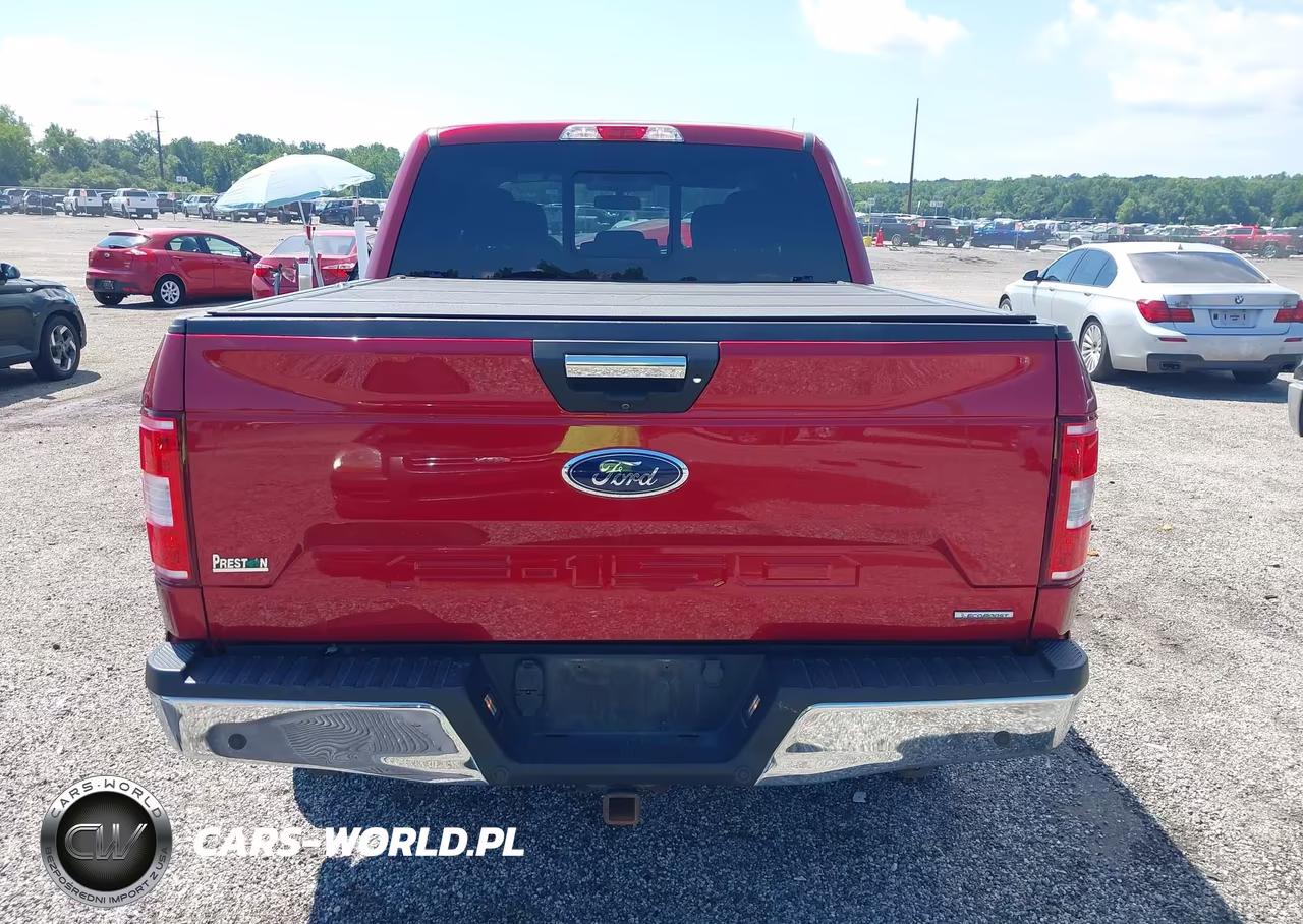 2019 Ford F-150 Xlt VIN:1FTEW1E40KFC61196 - 16