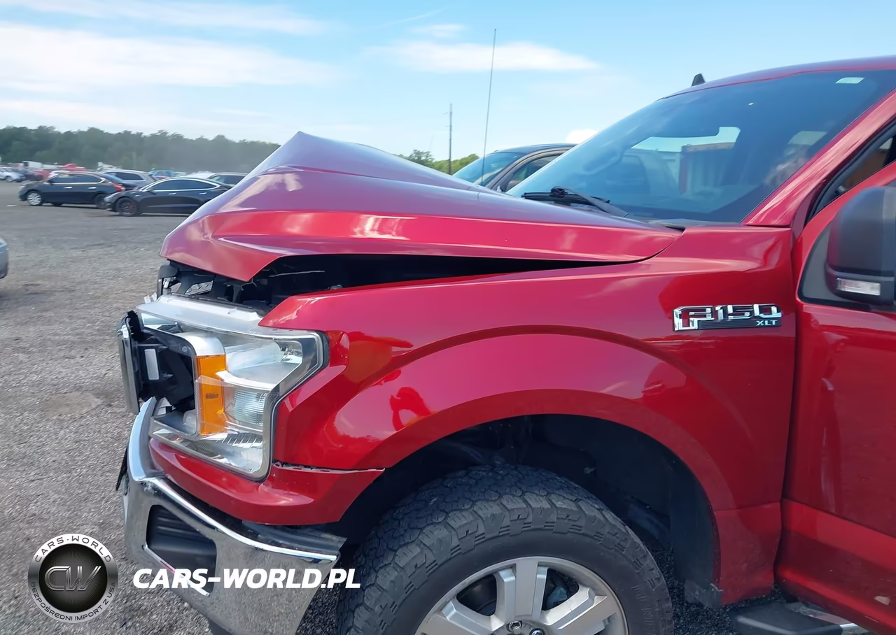 2019 Ford F-150 Xlt VIN:1FTEW1E40KFC61196 - 6