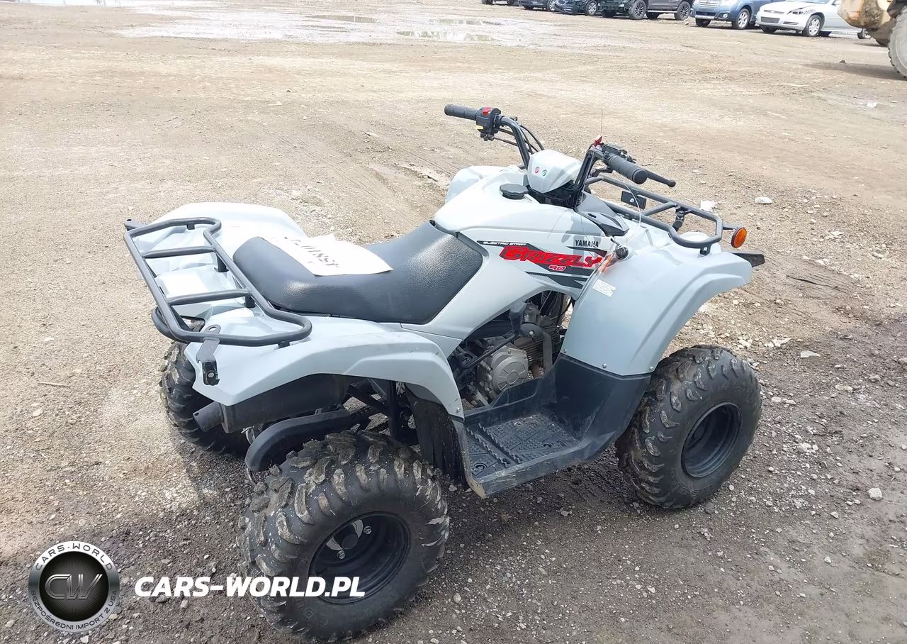 2021 Yamaha Yfm90 VIN:RF3AB1331MT005687 - 4