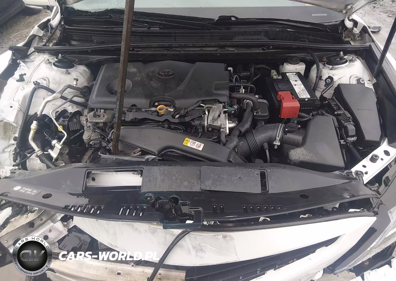 2019 Toyota Camry Xse VIN:4T1B61HK8KU698755 - 10