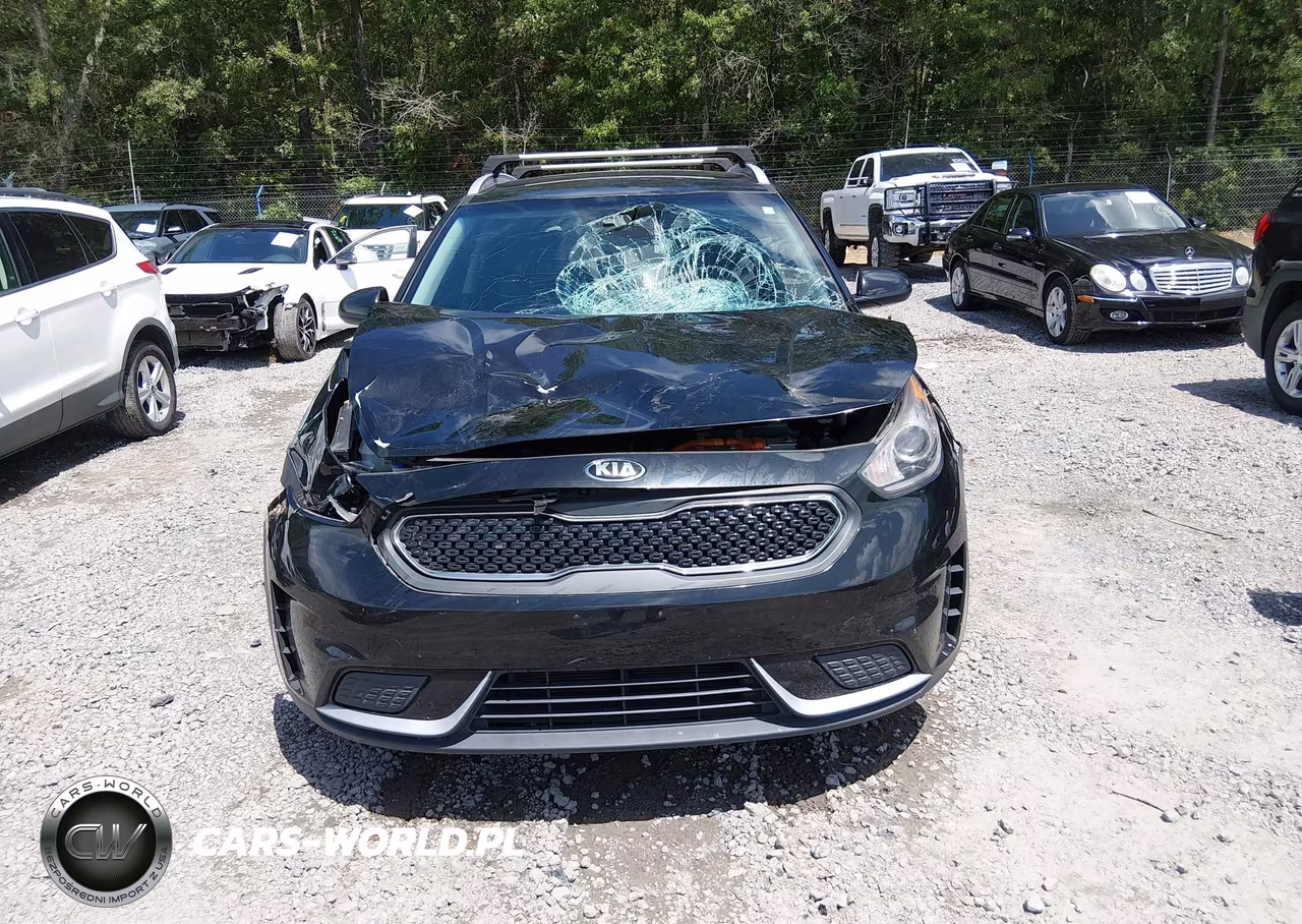 2018 Kia Niro Lx VIN:KNDCB3LC9J5145363 - 12